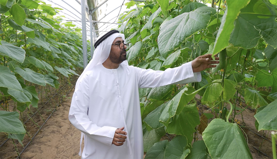 Silal, National Agricultural Centre Join Forces To Empower UAE Farmers, Enhance Food Security