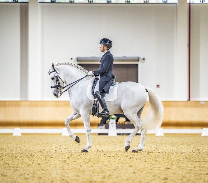 The Royal Stables Set To Host UAE National Dressage Championships For The First Time
