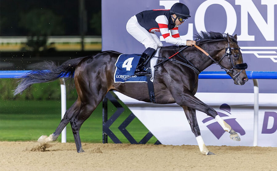 UAE Derby Runner-Up To Compete In Kentucky Derby 2026