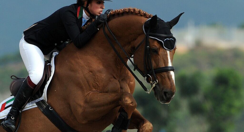 UAE Show Jumping Team Announced For Aichi-Nagoya 2026 Asian Games
