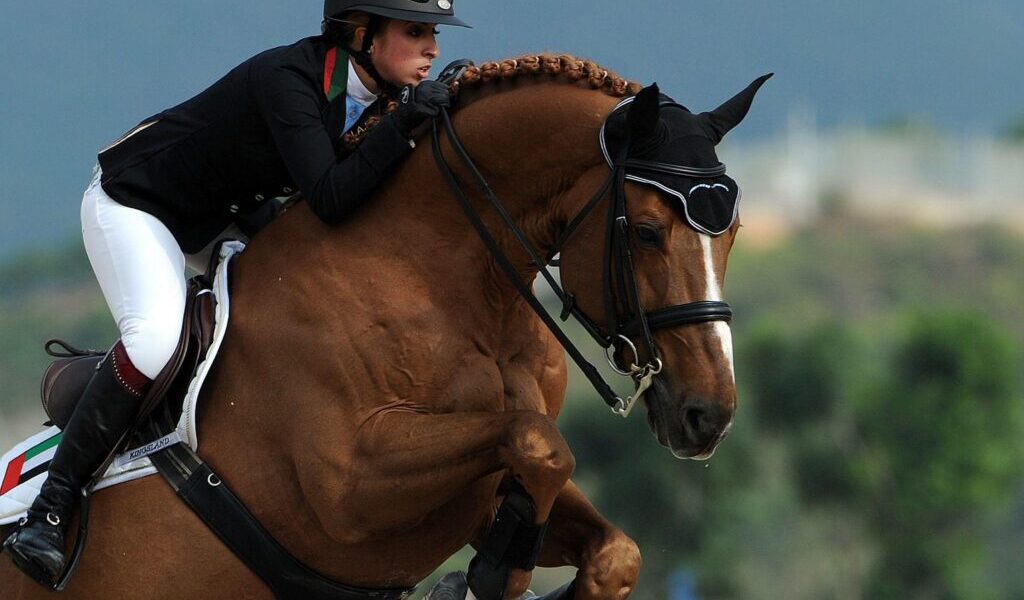 UAE Show Jumping Team Announced For Aichi-Nagoya 2026 Asian Games